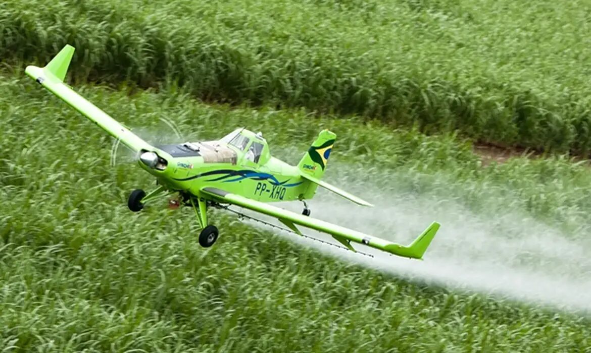 China lidera fornecimento de produtos importados por Lucas do Rio Verde