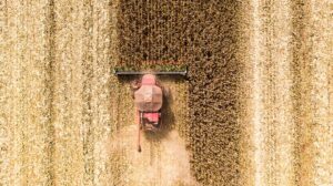 Entre janeiro e setembro, Mato Grosso vendeu US$ 26,5 bilhões ao mercado internacional, crescimento de 16,9% - Foto por: Secom/MT