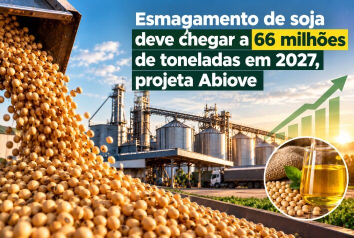 Esmagamento de soja deve chegar a 66 milhões de toneladas em 2027, projeta Abiove