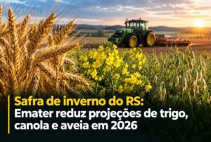 Safra de inverno do RS: Emater reduz projeções de trigo, canola e aveia em 2026