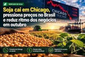 Soja cai em Chicago, pressiona preços no Brasil e reduz ritmo dos negócios em outubro