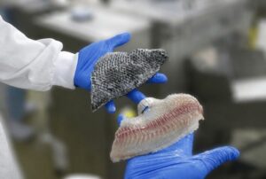 Tilápia além do filé: economia circular gera insumos para cosméticos, rações e biodiesel